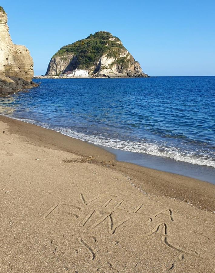 Villa Bina Sea Hotel Sant'Angelo  Exteriér fotografie