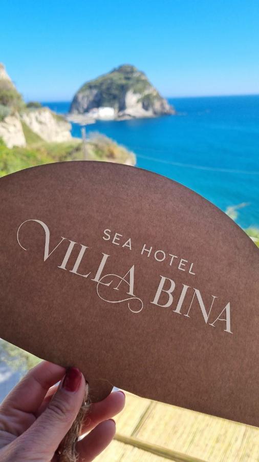 Villa Bina Sea Hotel Sant'Angelo  Exteriér fotografie